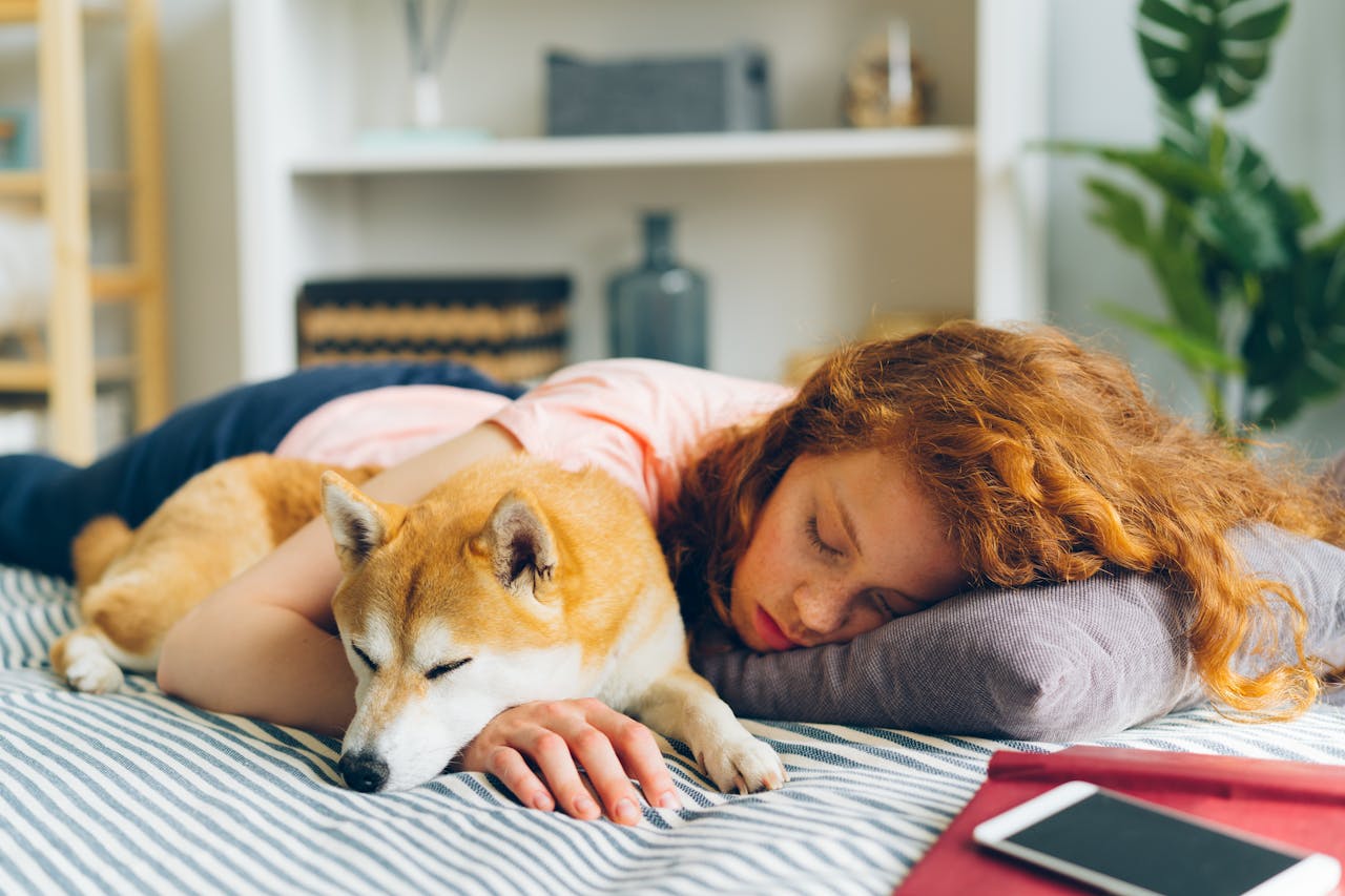 Red-haired woman and Shiba Inu dog napping together indoors, exuding warmth and comfort.