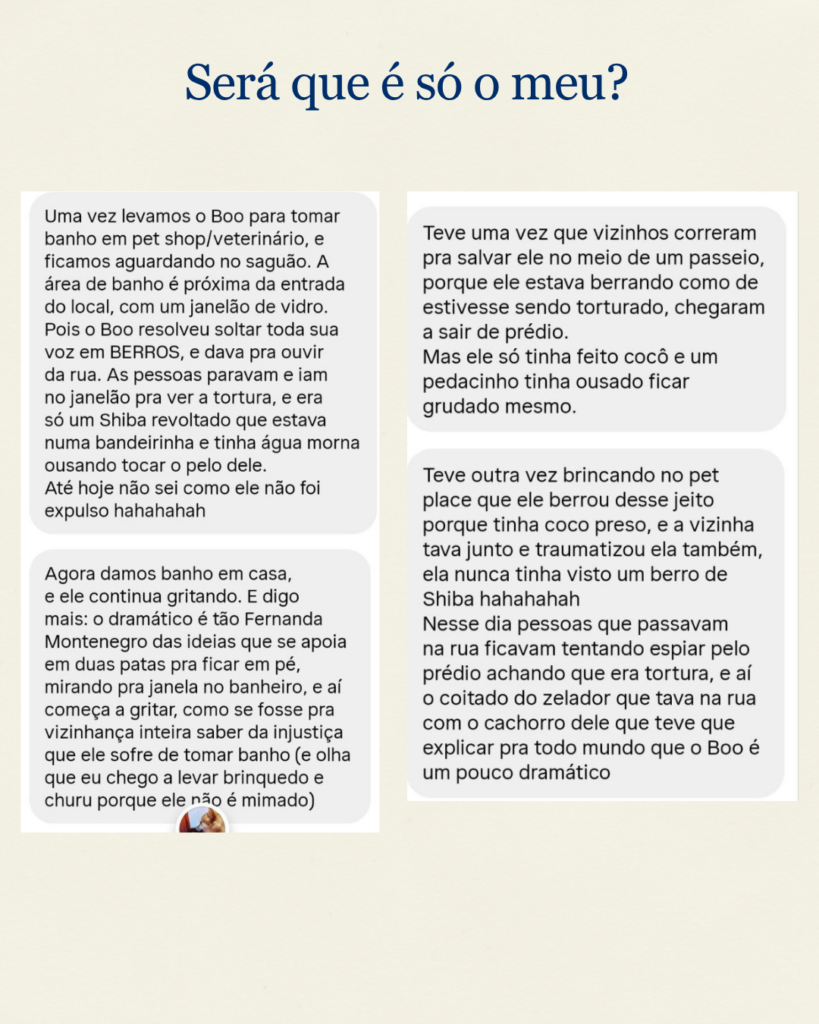 3-819x1024 Socorro, meu Shiba Inu grita!